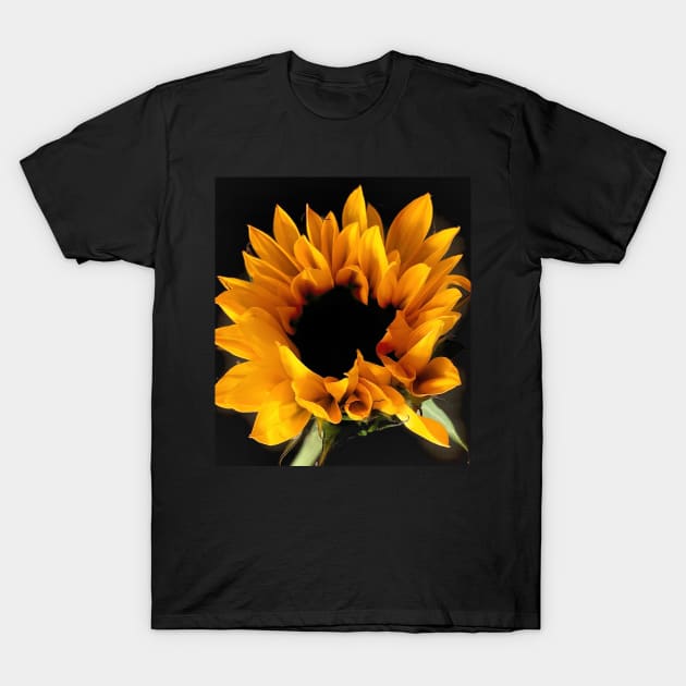 Sunflower T-Shirt by baksuart